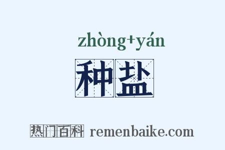 种盐是什么意思的图片